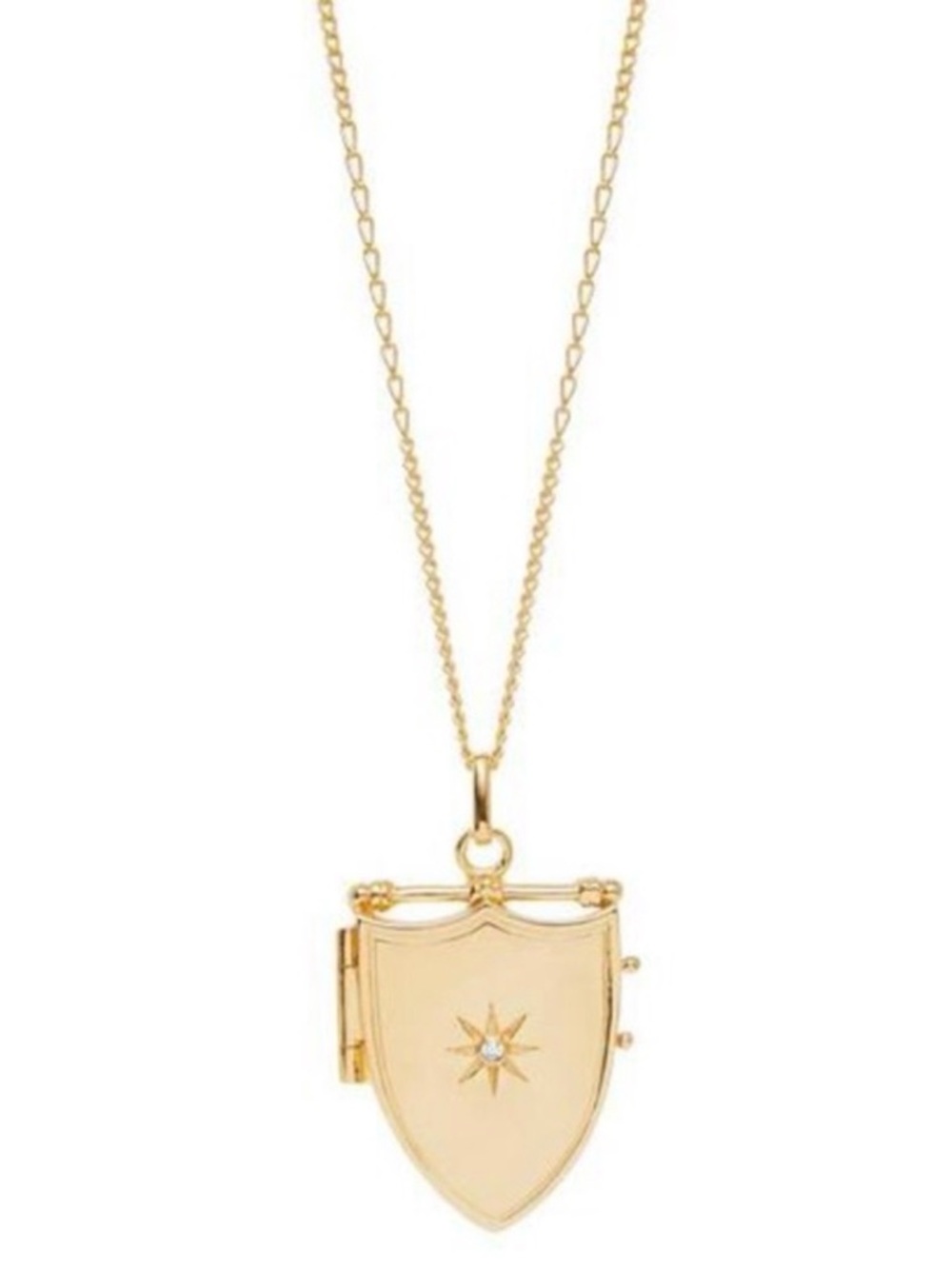VHTF SPELL WILD LOVE SHIELD LOCKET